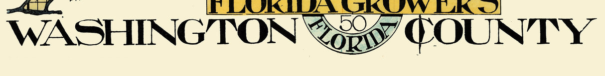1914 Map of Washington County Florida