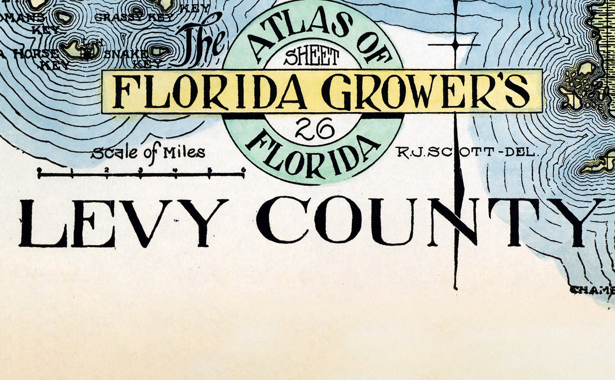 1914 Map of Levy County Florida