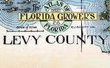 1914 Map of Levy County Florida