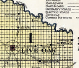 1914 Map of Suwannee County Florida Live Oak