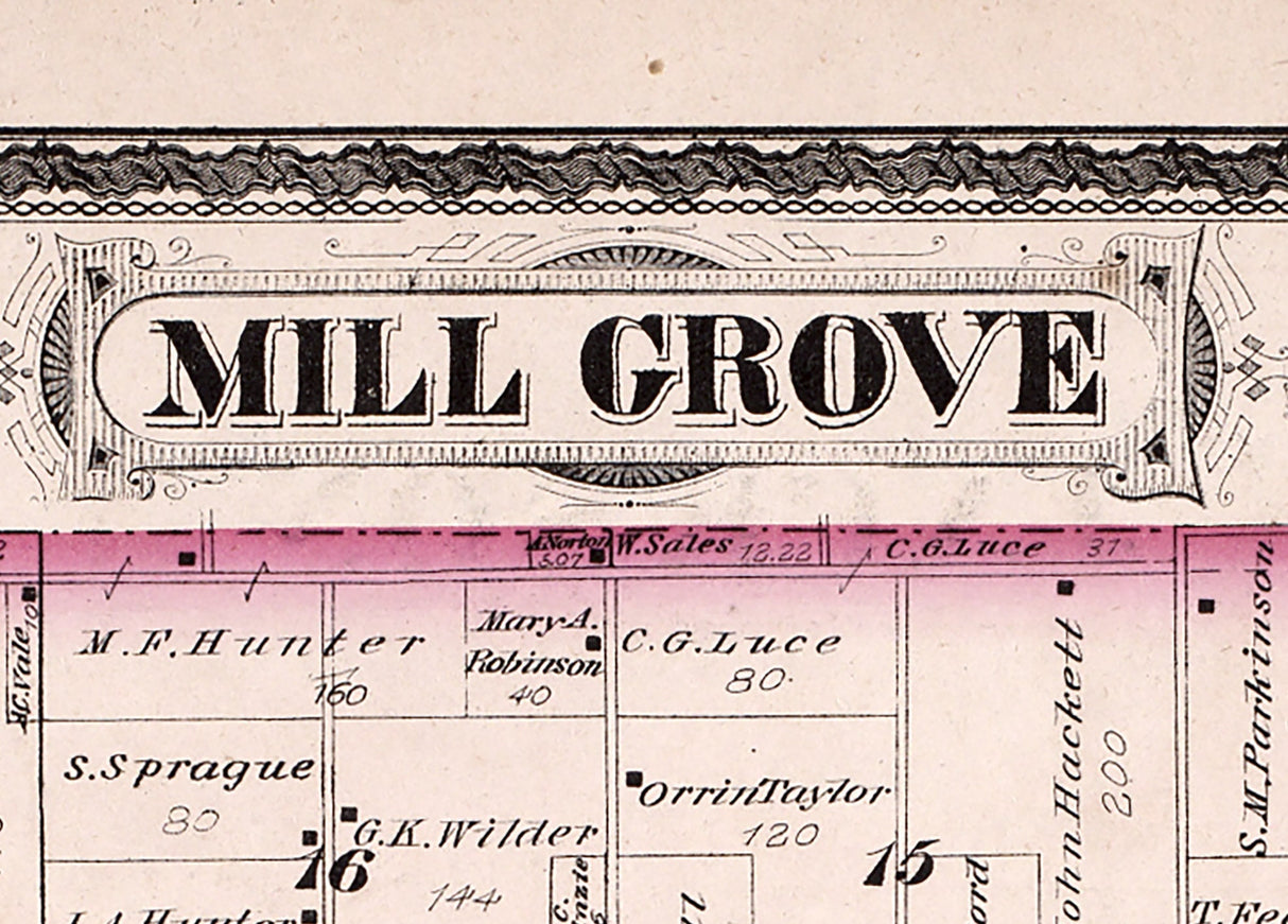 1880 Map of Mill Grove Township Steuben County Indiana