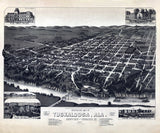 1887 Panoramic Map of Tuskaloosa Alabama