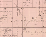 1885 Map of Linn Township Cedar County Iowa