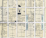 1880 Town Map of Minster Auglaize County Ohio