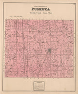 1880 Map of Pusheta Township Auglaize County Ohio