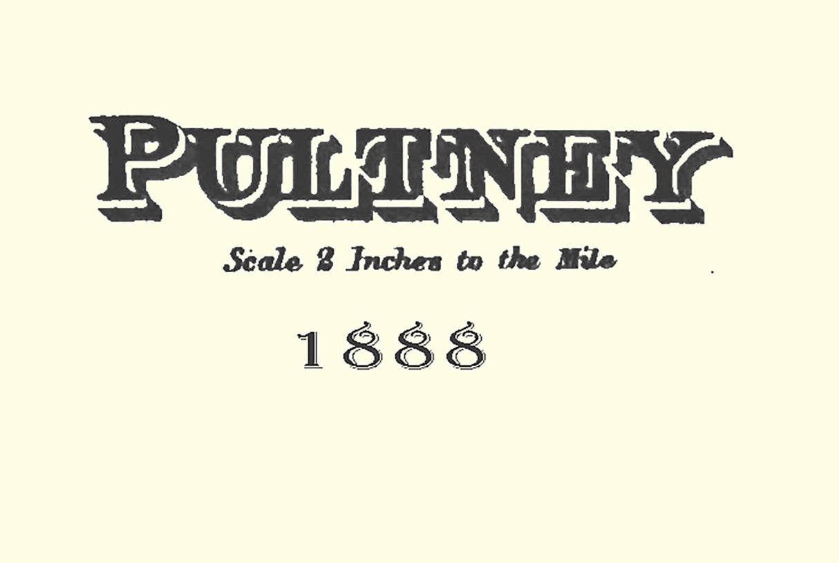 1888 Map of Pultney Township Belmont County Ohio