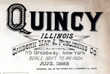 1883 Town Map of Quincy Illinois Mississippi River