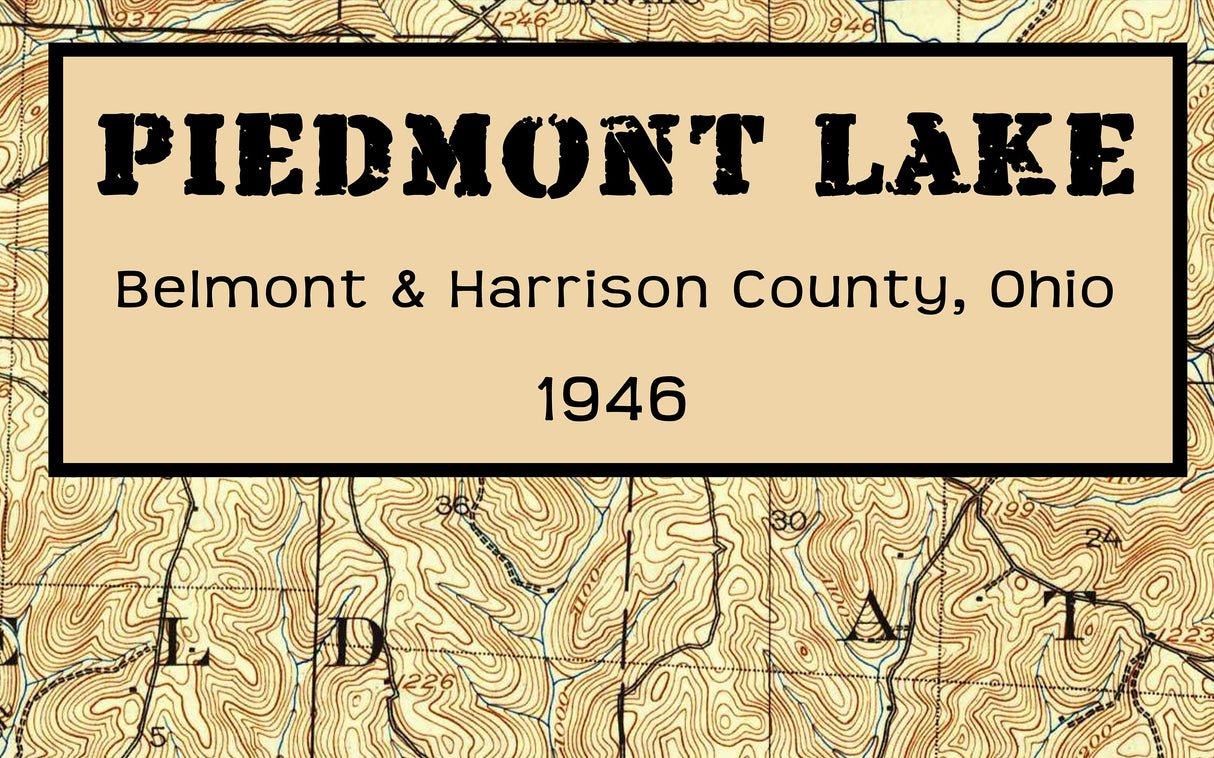 1946 Map of Piedmont Lake Ohio
