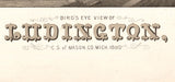 1880 Panoramic Map of Ludington Michigan