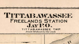 1877 Map of Tittabawassee Freelands Station Saginaw County Michigan