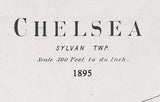 1895 Map of Chelsea Washtenaw County Michigan