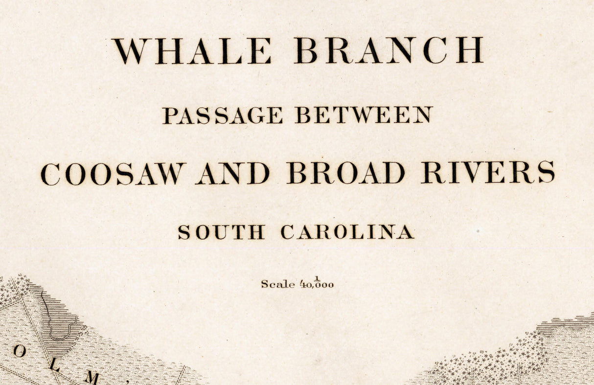 1876 Nautical Chart of Whale Branch Passage Coosaw and Broad River South Carolina