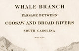 1876 Nautical Chart of Whale Branch Passage Coosaw and Broad River South Carolina