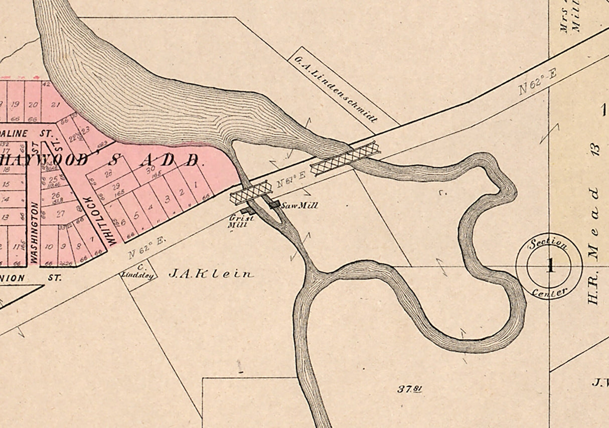 1895 Map of Saline Washtenaw County Michigan
