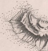 1843 Map of The Islands of Madeira Porto Santo and Dezertas