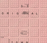 1895 Map of Pinckney Livingston County Michigan Mill Pond