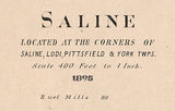 1895 Map of Saline Washtenaw County Michigan