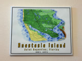 Anastasia Island Davis Shores Saint Augustine Beach Florida Map Framed