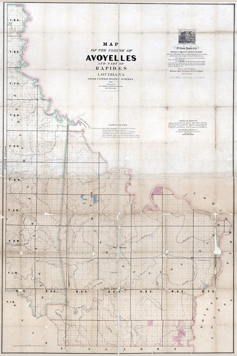 1860 Map of Avoyelles and Rapides County Louisiana