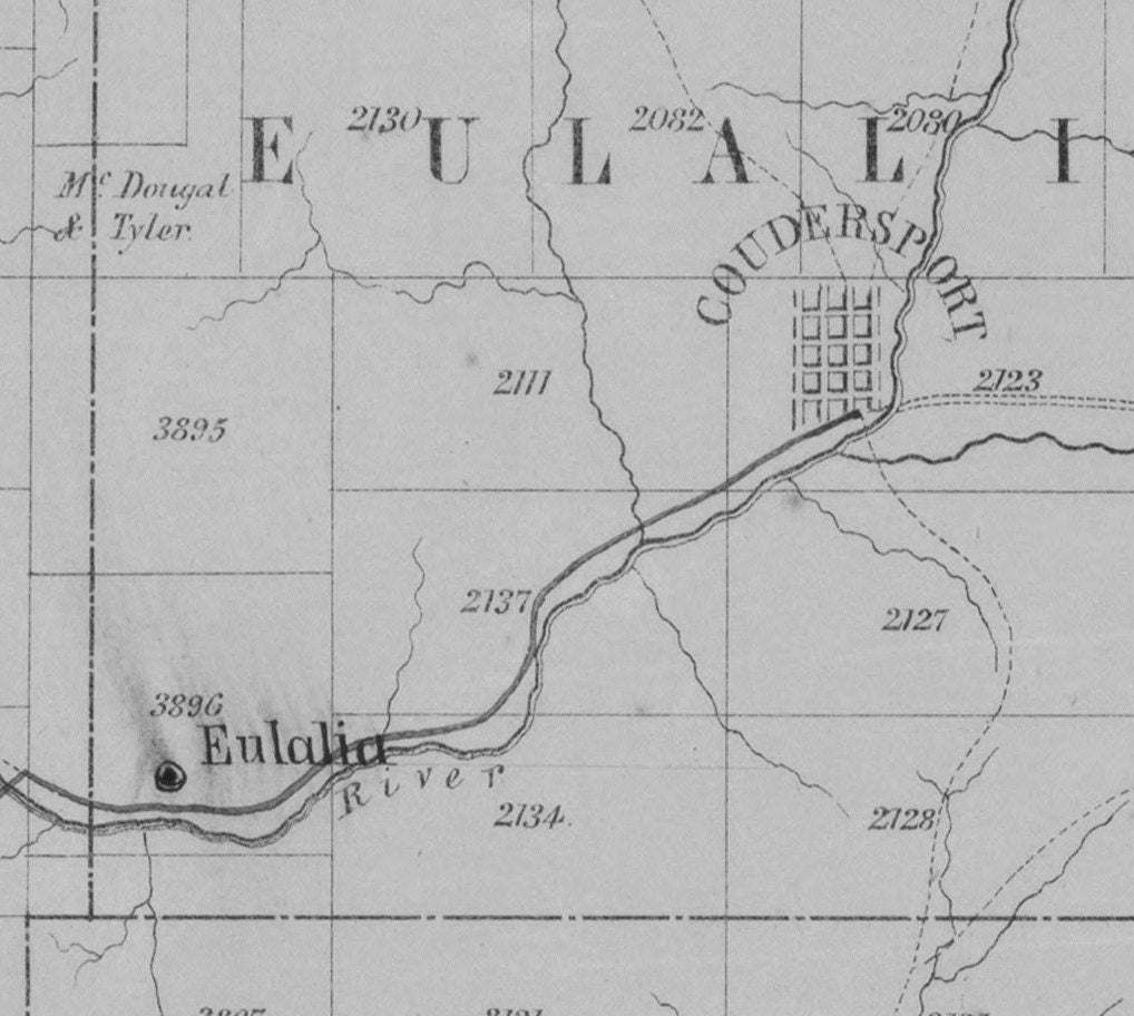 1856 Early Draft Map of Potter County PA Showing Settlements