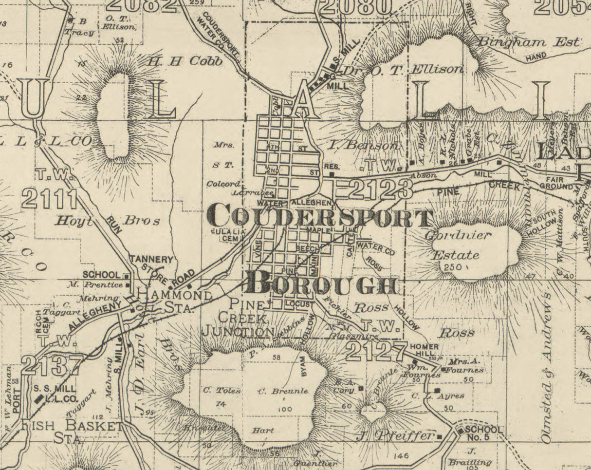 1893 Farm Line Map of Potter County Pa from actual surveys