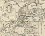1893 Farm Line Map of Potter County Pa from actual surveys