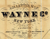 1858 Farm Line Map of Wayne County New York Lyons Newark Clyde