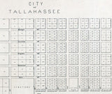 1883 Map of Leon County Florida Tallahassee