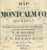 1875 Farm Line Map of Montcalm County Michigan Greenville