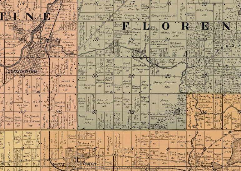 1897 Farm Line Map of Saint Joseph County Michigan Constantine Three Rivers