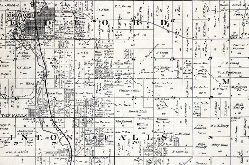 1879 Farm Line Map of Steele County Minnesota Owaton Medford