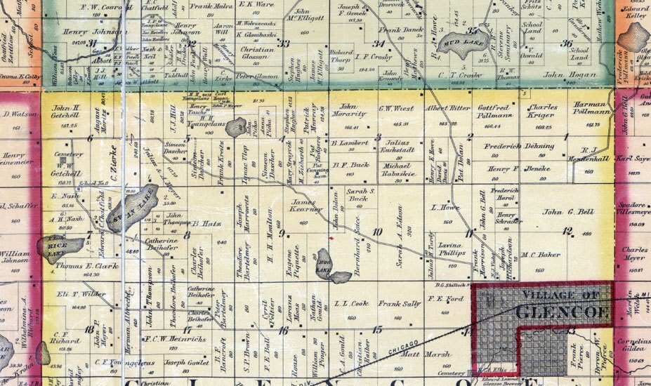 1880 Farm Line Map of McLeod County Minnesota Glencoe Hutchinson