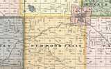 1898 Map of Redwood County Minnesota Redwood Falls
