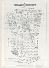 1879 Farm Line Map of Waller County Texas